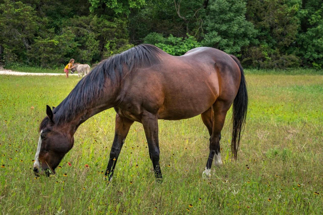 Country Woods Inn Глен Роуз Екстериор снимка